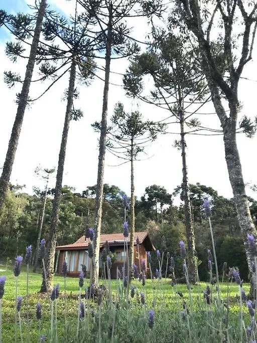 Cabana Do Lenhador - Urubici, Sc Chalet