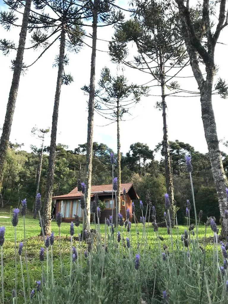 Cabana Do Lenhador - Urubici, Sc 0*, Urubici